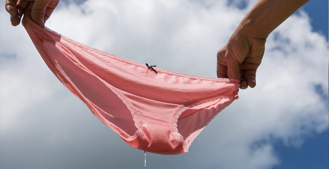 Womans Bras Panties Slips Stories Gif
